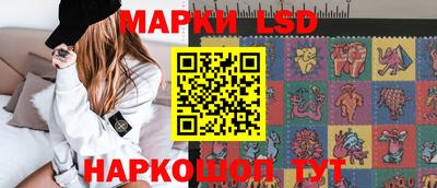 стафф Будённовск