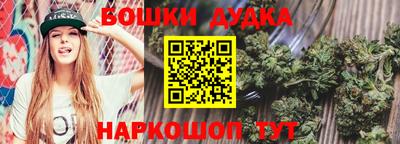 стафф Будённовск