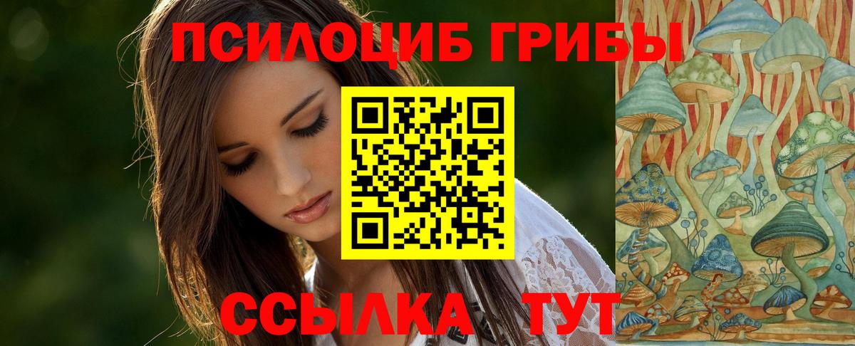 купить  сайты  Галлюциногенные грибы Psilocybine cubensis  Вход с VPN  Псилоцибиновые грибы прущие грибы  Тюмень 